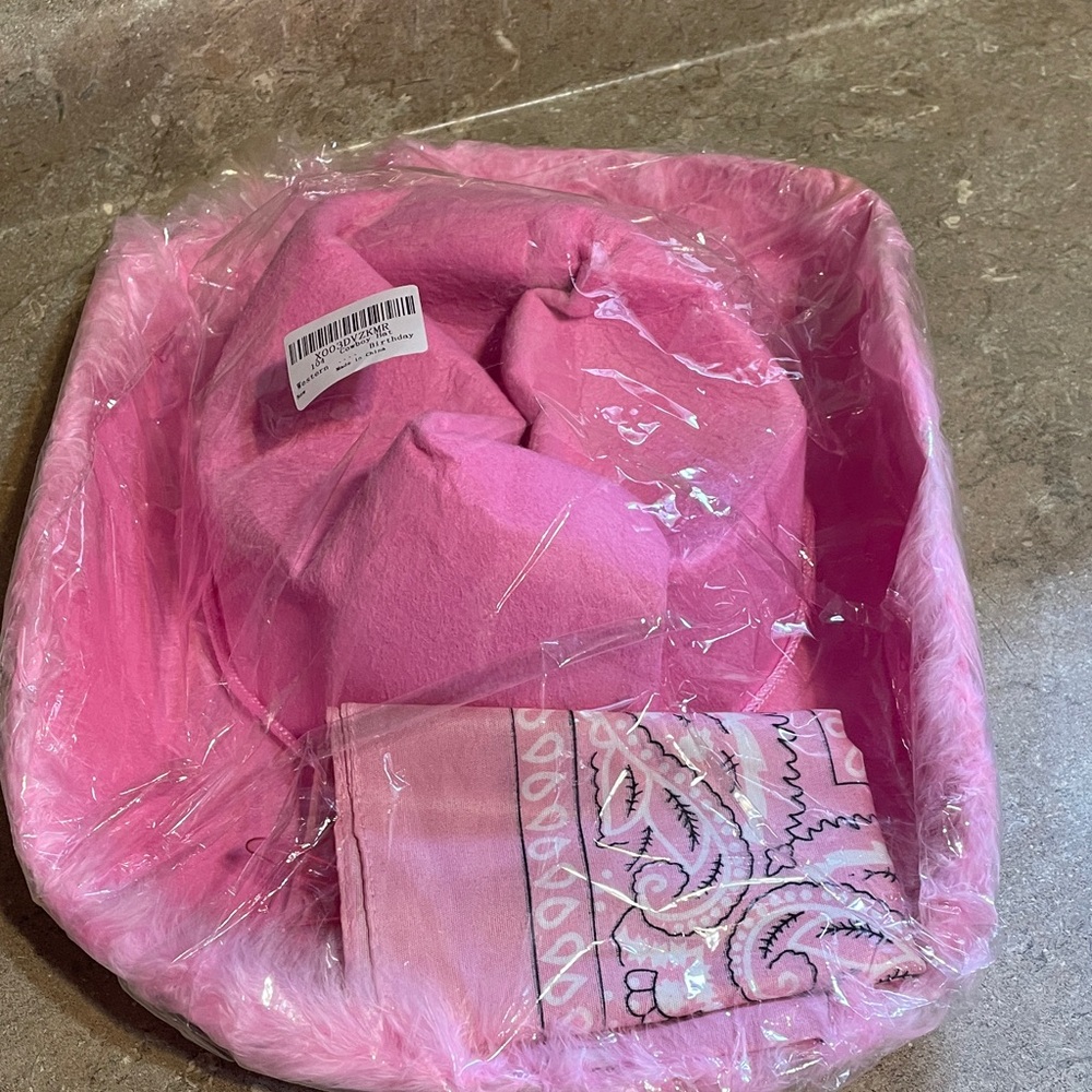Halloween Pink CowGirl Hat, bandanna, and a pink pair of sunglasses